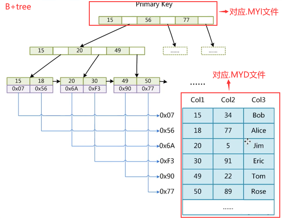 image-20210317233936965