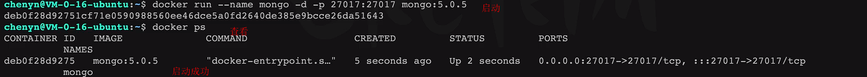 image-20220321012037628